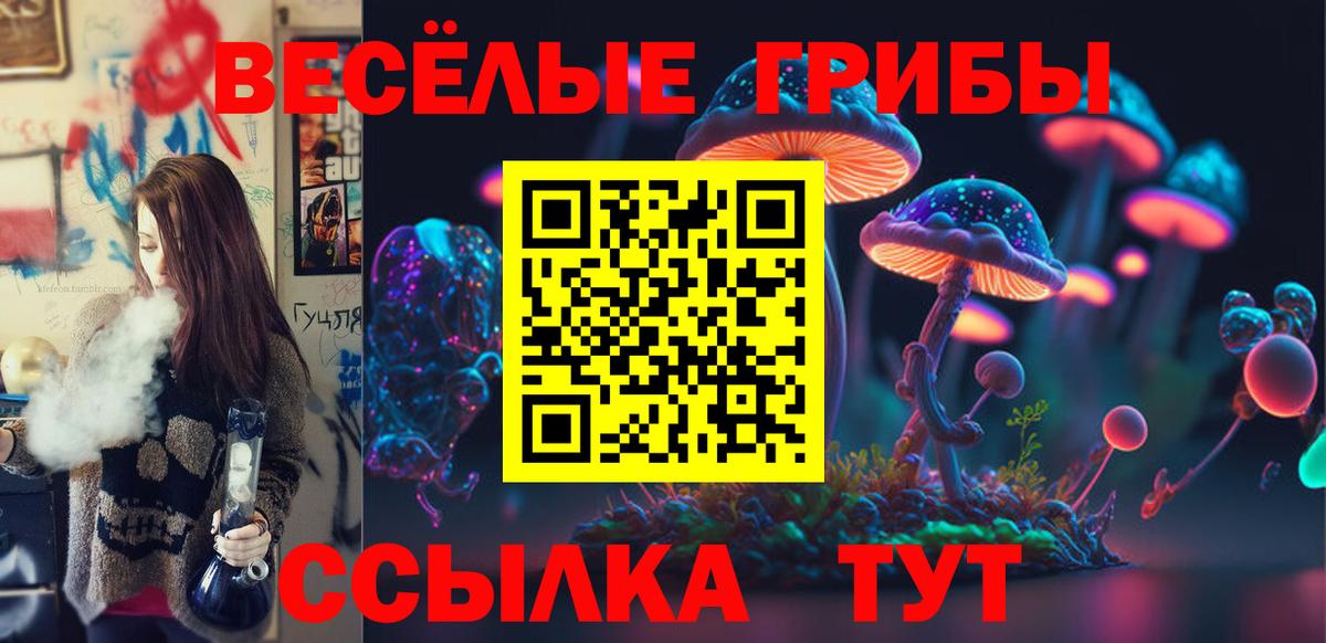 Псилоцибиновые грибы MAGIC MUSHROOMS  Вход с VPN  купить  сайты  Вичуга 